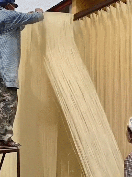 511af914845c41fa187a9441a2943591.gif